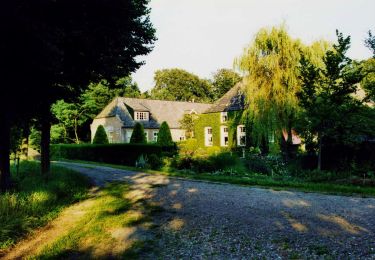 Percorso A piedi Dalfsen - WNW Vechtdal - Oude Oever - gele route - Photo