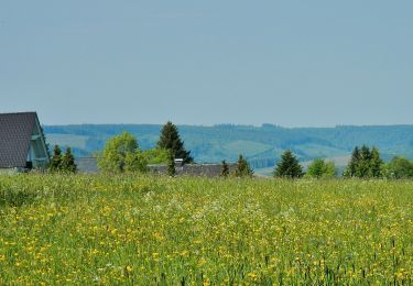 Tocht Te voet Winterberg - Neuastenberg Rundweg N4 Bärenbergweg - Photo