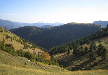 Excursión Senderismo Le Dévoluy - R24   Le col d'aune - Photo