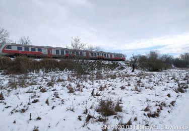 Excursión A pie okres Hlohovec - Náučný chodník Poniklec - Photo