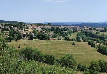 Trail Walking Le Bouchet-Saint-Nicolas - pradelles  - Photo