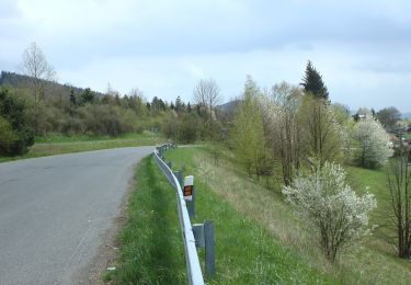 Randonnée A pied Klenčí pod Čerchovem - [Ž] Klenčí pod Čerchovem - Česká Kubice - Photo