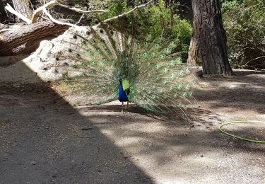 Tour Wandern  - Rhodes les 7 sources 452019 - Photo