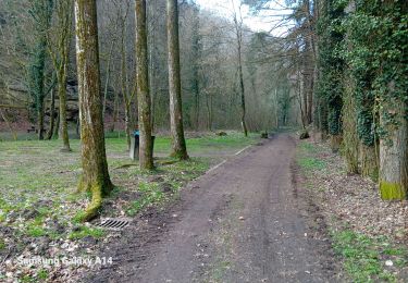 Tour Wandern Fels - larochette sentier L2 - Photo