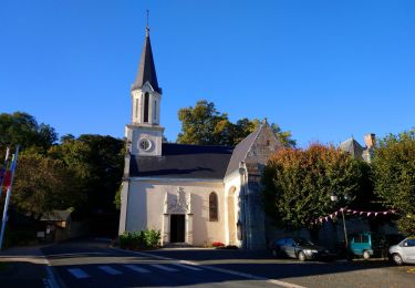Percorso Marcia Vernou-sur-Brenne - Vernou - Noizay - boucle - 2016 03 12 - Photo