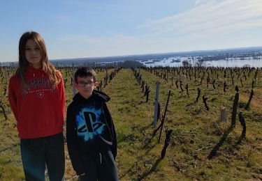 Tour Wandern Le Loroux-Bottereau - Anaëlle et Lilian - Photo