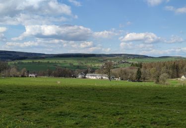 Trail Walking Stavelot - RB Wavreumont 🥾 - Photo