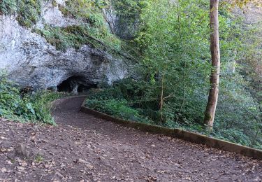 Trail Walking Comblain-au-Pont - Comblain-au-Pont d´une rive à l´autre - Photo