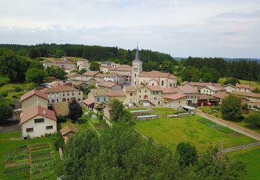 Trail On foot Saint-Bonnet-le-Bourg - L'Etang de Marchaud - Photo