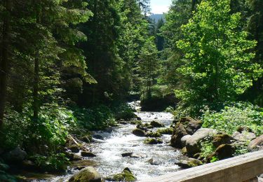 Randonnée A pied  - Jaszczurówka - Toporowa Cyrhla - Photo