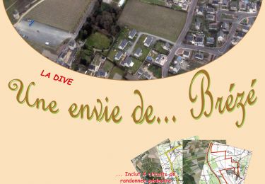 Percorso Marcia Bellevigne-les-Châteaux - BELLEVIGNE LES CHÂTEAUX / BRÉZÉ: LA DIVE - Photo