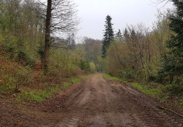 Percorso Marcia La Londe - 20190416 la londe  - Photo