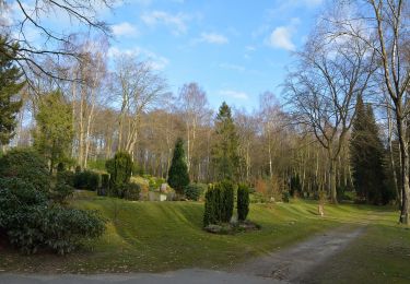 Tocht Te voet Itzehoe - Spaziergang im Stadtforst Itzehoe 2 - Photo