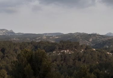 Randonnée Marche Mouriès - Mouries Baume Brignolles Quatre Termes - Photo