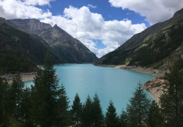 Percorso A piedi Bionaz - Itinerario 11 Diga di Bionaz Alpeggio Bella Tsa - Photo