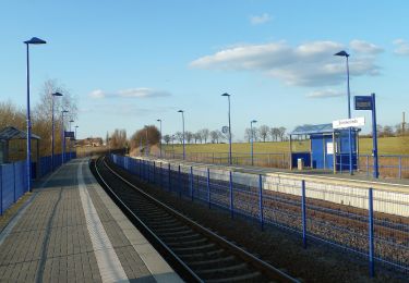 Randonnée A pied Wandlitz - Wanderweg Basdorf-Schönerlinde - Photo