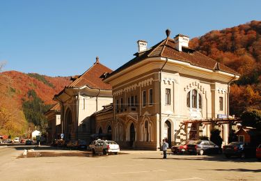 Tour Zu Fuß Sinaia - Sinaia - Șaua Vârfului cu Dor - Cabana Padina - Photo