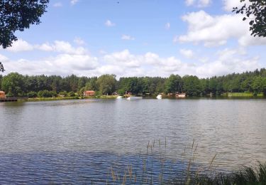 Tour Wandern Saugues - Saugues - le plan d'eau - Photo