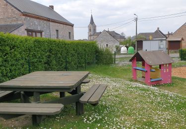 Tocht Stappen Doische - De Gochenée à Vodelée par la vallée de l'Hermeton - Photo