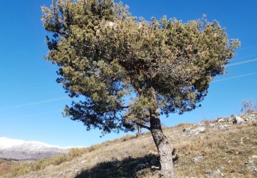 Trail Walking Courmes - qt - Photo