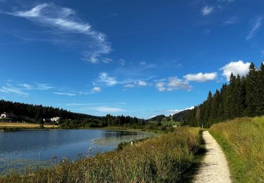 Tocht Stappen Lamoura - lac_de_lamoura_et_sa_tourbiere_prdo-2199807-1722872400-323 - Photo