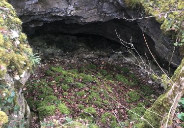 Trail Walking Noroy-le-Bourg - Circuit du veuvey prolongé  - Photo