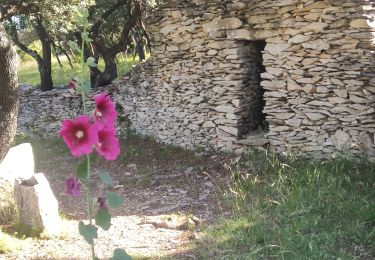 Trail Walking Nimes - MARGUERITTES FONT D'AUBARNE - Photo