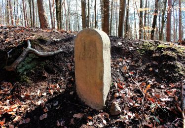 Tocht Te voet Gründau - Rundwanderweg 