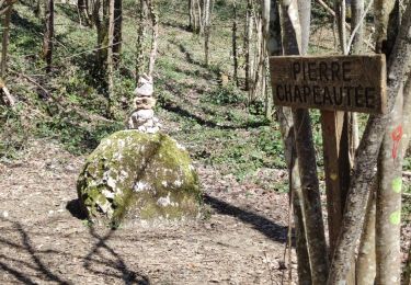 Trail Walking Saint-Genix-les-Villages - Boucle autour de St Maurice de Rotherens - 06 avril 2025 - Photo