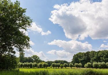 Tocht Te voet Nettetal - Rundweg A5 Hinsbecker Höhen - Photo