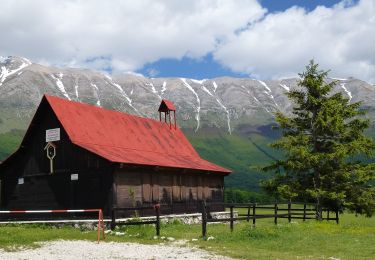 Percorso A piedi Pacentro - Iazzo Cappuccio - Monte Mileto - Photo