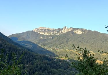 Trail Walking Saint-Pierre-d'Entremont - Ballade du matin. - Photo