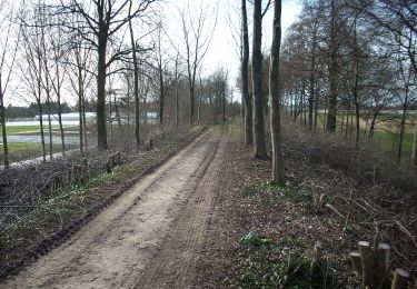 Tocht Te voet Tongeren - Widooie - Photo