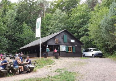 Randonnée A pied Freinsheim - Parkplatz Lindemannsruhe Rundwanderweg 12 - Photo