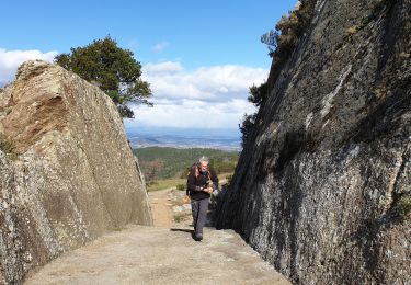 Tour Wandern La Garde-Freinet - La Garde Freinet - Photo