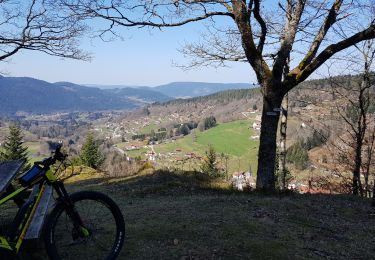 Percorso Bicicletta elettrica Basse-sur-le-Rupt - Basse-sur-le-Rupt Vttae - Photo