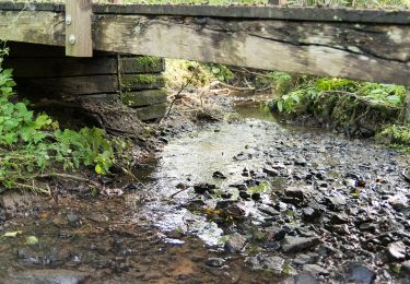 Percorso A piedi Bad Salzuflen - Bad Salzuflen Rundweg 3 - Photo