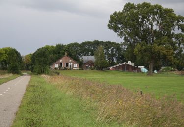 Tour Zu Fuß Kampen - WNW IJsseldelta -Kampereiland - groene route - Photo