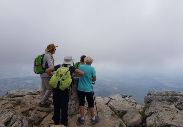 Trail Walking Saint-Jeannet - baou de st jeannet  - Photo