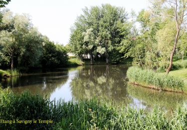 Trail Walking Nandy - Tracé - Photo