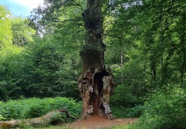 Tour Wandern Saint-Jean-aux-Bois - Saint Jean aux Bois  - Photo