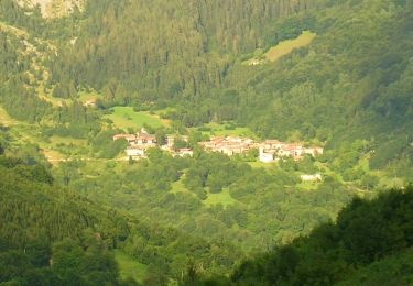 Excursión A pie Lozio - Trekking tra malghe e menhir anello 7: Dosso della Sella - Malga Rò - Photo