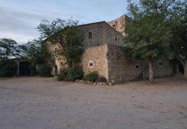 Tocht Stappen Torroella de Montgrí - chapelle de oalau - Photo