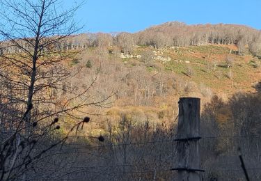 Randonnée Marche Cazenave-Serres-et-Allens - cabane du ¨Pla de Tabe version longue - Photo