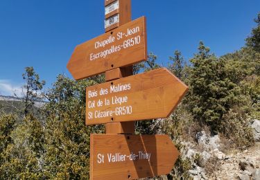 Tour Wandern Saint-Vallier-de-Thiey - arche Ponadieu départ b 81  - Photo