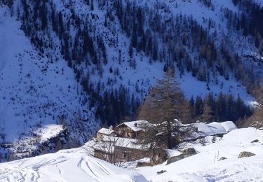 Percorso Racchette da neve Tignes - naroze - Photo
