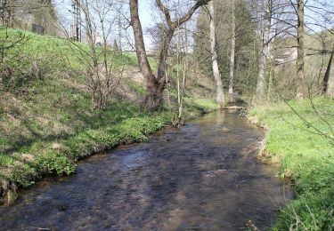 Percorso A piedi Heigenbrücken - Schwarzer Keiler, Rundwanderweg Heigenbrücken - Kalter Grund - Photo