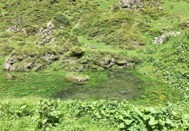 Tour Zu Fuß Muotathal - CH-Dräckloch - nördlich Brunalpelhöchi - Photo