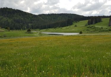 Trail Walking La Pesse - L'Embossieux-Nerbier - Photo