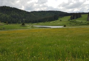 Tour Wandern La Pesse - L'Embossieux-Nerbier - Photo